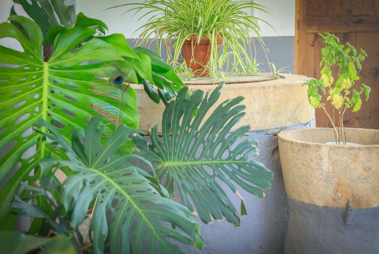Sa Fita Backpackers - Albergue Juvenil Esporles Ngoại thất bức ảnh