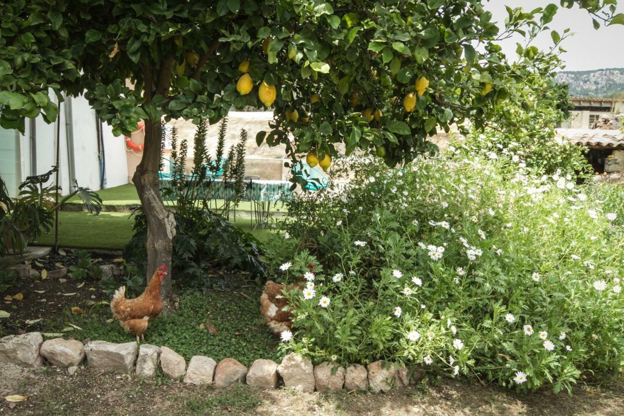 Sa Fita Backpackers - Albergue Juvenil Esporles Ngoại thất bức ảnh